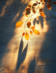 Aufkleber - In the soft glow of sunset, vibrant autumn leaves gracefully rest on a smooth surface, their shadows stretching long in warm hues. The atmosphere feels tranquil and inviting