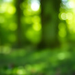 © Gail - abstract circular green bokeh background green nature spring and nature light in blurred