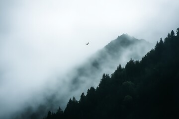 Poster - A foggy mountain peak, barely visible through the mist, with a single bird soaring