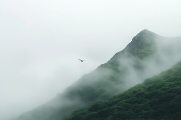 Poster - A foggy mountain peak, barely visible through the mist, with a single bird soaring