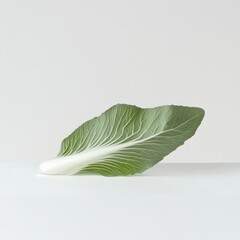 Poster - Fresh bok choy leaf resting on a simple white surface, highlighting its vibrant green color and crisp texture for culinary inspiration