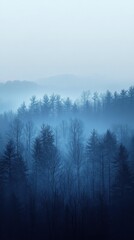 Poster - Cool-toned gradient of misty forest transitioning through layers of trees at dawn