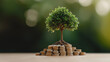 © Dream Vision - Relationship and Money Conflicts Concept, tree growing from pile of coins symbolizes wealth and growth