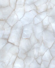 Poster - A close-up view of a textured, translucent stone surface showcasing intricate patterns and natural veins. Ideal for backgrounds, interior designs, or artistic projects.