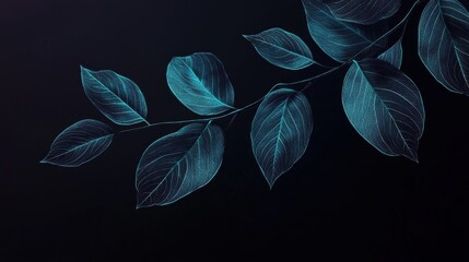 Fototapete - Striking black leaves illuminated by glowing turquoise highlights in artistic composition