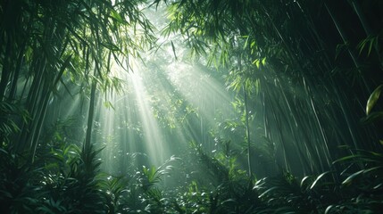 Poster - Sunlight filters through a dense bamboo forest creating a serene and magical atmosphere