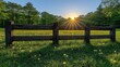 © DARIKA - Sun-kissed field with blooming dandelions in a peaceful natural park. A beautiful concept for family vacation themes, outdoor weekend relaxation, and enjoying natureâ€™s simplicity.