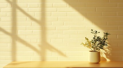 Aufkleber - Bright pale yellow brick wall with shadows and potted plant during daylight hours