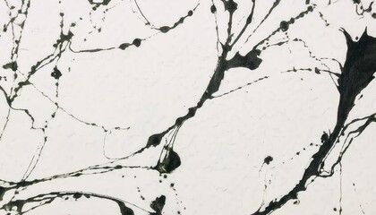 Poster - abstract black vein pattern on white marble texture, high-resolution background for interior design, branding, and decor

