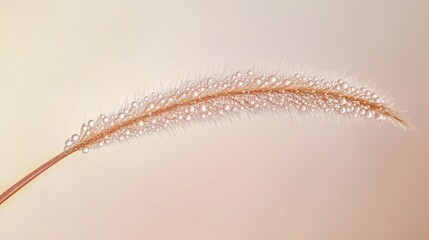Poster - Captivating macro shot of a dew-covered blade of grass glistening in the soft morning light