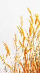 Poster - Golden yellow grass blades creating a vibrant border against a light background in a serene natural setting