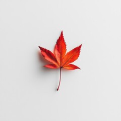 Aufkleber - Vibrant red maple leaf lying flat on a smooth surface, showcasing autumn's beauty in rich colors