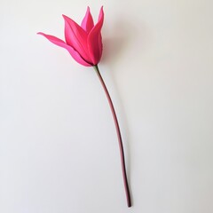 Poster - Bright pink long-stemmed tulip stands out against a neutral background in a calm indoor setting