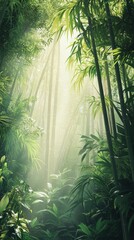 Poster - Dense bamboo forest bathed in soft, filtered sunlight creating a serene and tranquil atmosphere