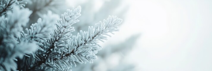 Poster - Close up of a pine tree branch covered in delicate hoarfrost crystals, creating a beautiful winter scene with a soft, dreamy background, ideal for christmas or winter themed projects