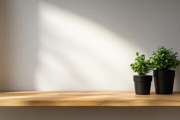 Poster - Two potted plants rest on a wooden shelf, their shadows creating beautiful patterns on a white wall, illuminated by soft natural light that enhances serenity
