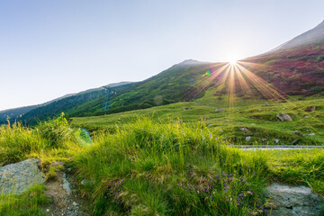 Wall Mural - mountain landscape at sunrise in summer. scenic view scenery with green valley of fagaras ridge in m