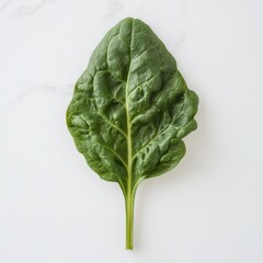 Poster - Fresh spinach leaf showcasing vibrant green color and smooth texture on light background