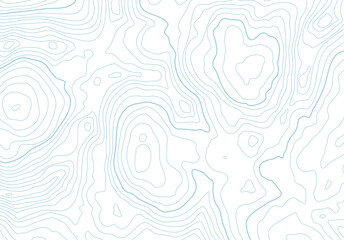 Leinwandbilder - Topographic map background with altitude lines. Abstract terrain topography with elevation levels of the relief