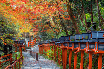 Wall Mural - Kifune Shrine in Kyoto, Japan with beautiful autumn scenery
