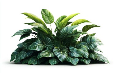 Wall Mural - Lush tropical foliage cluster, isolated, white background, landscaping design