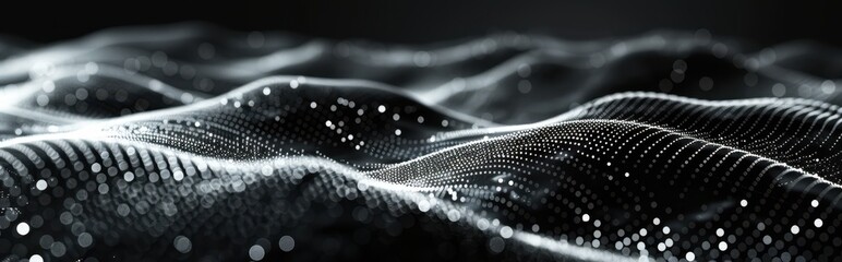 Poster - Abstract Black and White Digital Wave Background