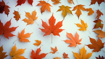 Wall Mural - Colorful autumn leaves scattered on a white background showcasing fall's vibrant hues of orange, red, and yellow in a seasonal arrangement.