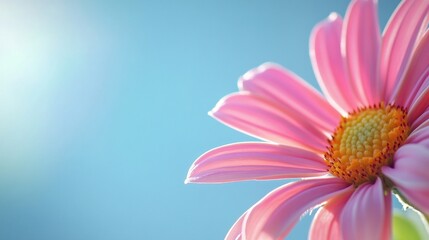Aufkleber - A close-up of a pink flower against a soft blue background, showcasing nature's beauty.