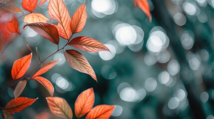 Wall Mural - Abstract croton leaf blur with vibrant fall foliage, capturing vein patterns and bokeh background for artistic environmental design concepts.