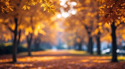 Poster - serene blurred autumn landscape with vibrant orange leaves creating a warm and inviting atmosphere f