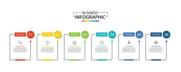 Wall Mural - business infographics. infographics with 6 steps or options