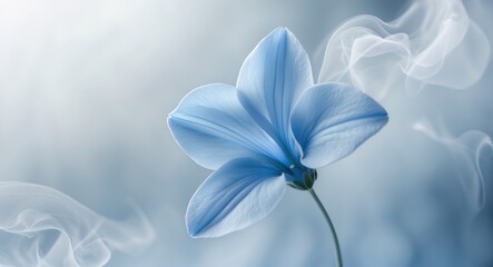 Poster - Delicate Blue Flower with Soft Smoky Background and Space for Text Ideal for Nature and Wellness Themes