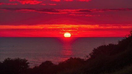 Wall Mural - vibrant sunset over ocean horizon with dramatic red skies and silhouettes of trees, creating a seren