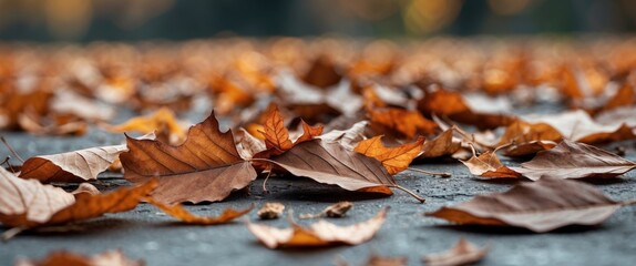 Poster - Fallen dry leaves in an autumn landscape showcasing warm colors and textures on a pavement creating a serene natural scene.