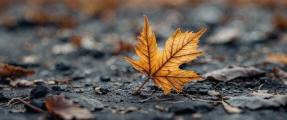 Poster - Close up of an autumn leaf on the ground surrounded by fallen leaves highlighting textures and colors of nature in a tranquil setting