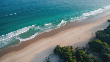 Poster - serene aerial view of a tranquil tropical beach with gentle waves and lush greenery on sandy shoreli