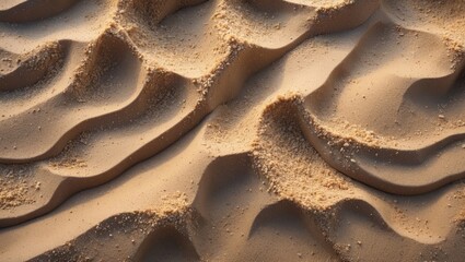 Canvas Print - Textured Patterns of Natural Beach Sand Highlighting Wavy Designs and Fine Particles Ideal for Abstract Art and Nature Compositions.