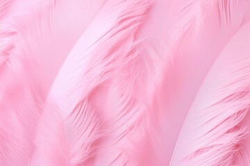 Poster - soft pink feather background texture for elegant design, fashion, crafts, and artistic projects, per