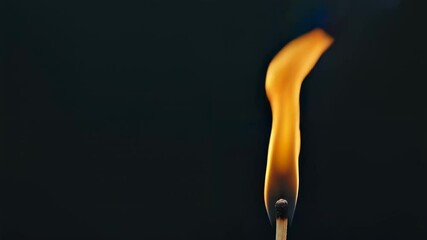 Poster - Single wooden match burning with a bright, warm flame against a dark background, creating a dramatic contrast and highlighting the delicate dance of fire