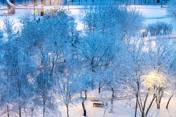 Wall Mural - city park with playground in blue winter dusk