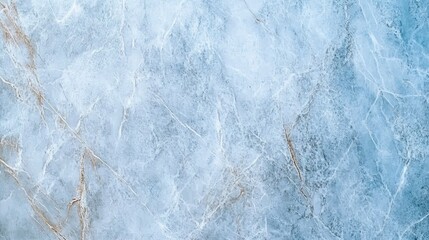 Wall Mural - Elegant marble surface with cool blue and white tones highlighting intricate natural veining and textures