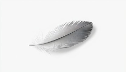 Poster - abstract grayscale feather, digitally rendered, on a white background. minimalist design with soft l