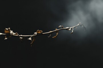 Creepy Ivy Vine on Dark Background with Dramatic Lighting