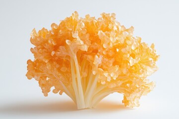 Poster - A close-up view of a bunch of broccoli on a white surface, perfect for food-related designs and illustrations