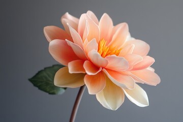 Poster - A single pink flower with green leaves in a clear glass vase
