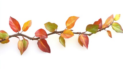 Poster - A close-up of a tree branch featuring red and green leaves, suitable for use in nature-themed designs or as a symbol of growth