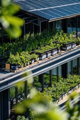 Aufkleber - A modern structure covered in lush plants and foliage
