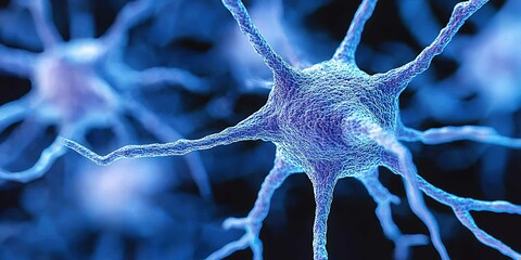 Poster - Exploring the intricate structures of neurons in a detailed close-up view
