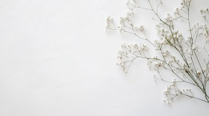 Poster - clean, simple white background with scattered abstract shapes, such as faint circles or squares, adding a touch of design while keeping the minimalist tone