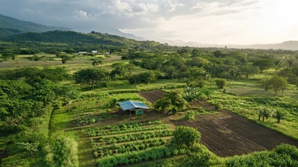 Poster - collaboration between scientists and local farmers to create eco-friendly agricultural practices that support wildlife conservation and soil preservation
